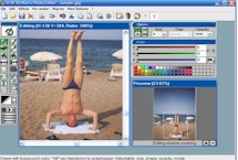 Interface web style business