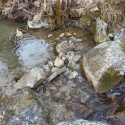 Haute Savoie Montagne