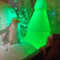 IMG 20211228 173941