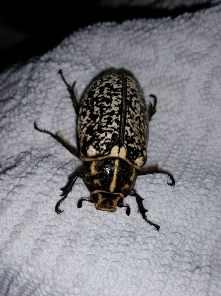 2016-07-13 23.11.23.jpg